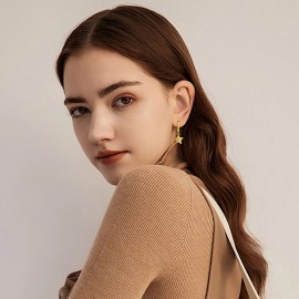 Great Value White Gold Plated Dangle Earrings 